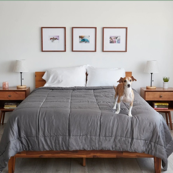 Sheets and Giggles Bedding Gray Eucalyptus Lyocell Comforter Queen